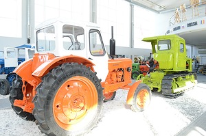 191.jpg
