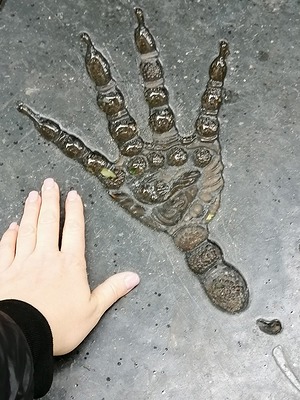 118.jpg