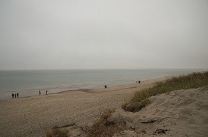 80.jpg