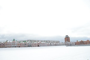 050.jpg