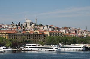 010.jpg