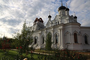 156.jpg