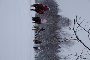 DSC00931.JPG