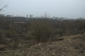 129.jpg