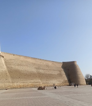 144.jpg