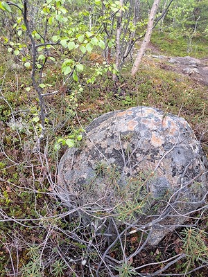 104.jpg
