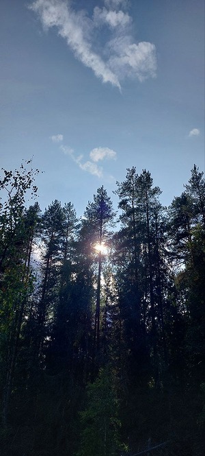 114.jpg