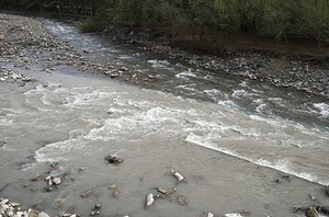 113.jpg