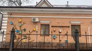 050.jpg