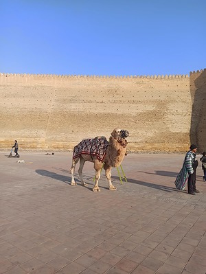 167.jpg