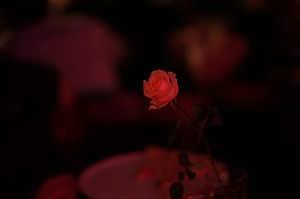 036.jpg