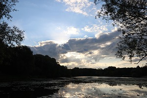 124.jpg