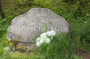 39.jpg