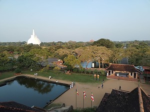164.jpg