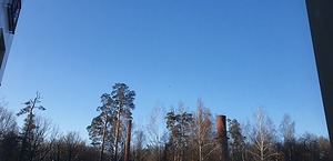 02.jpg