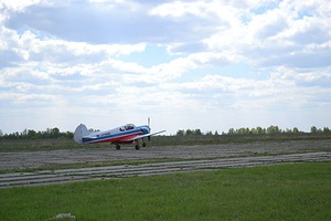 39.jpg
