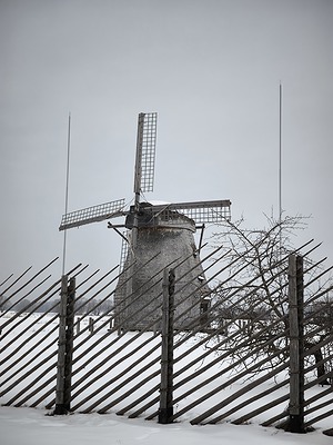 85.jpg