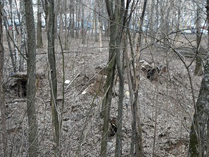 291.jpg