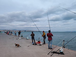 103.jpg