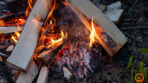 DSC02213.jpg
