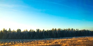 06.jpg