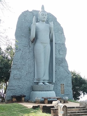 116.jpg