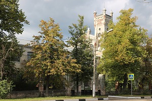 125.jpg