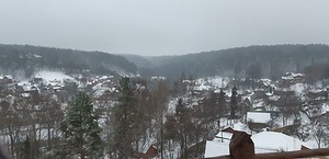 29.jpg
