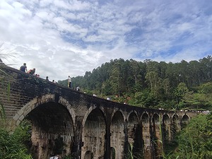 071.jpg