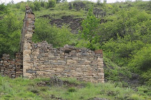 164.jpg
