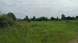 84.jpg