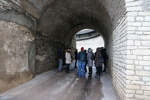 050.jpg