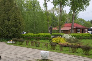 03.jpg