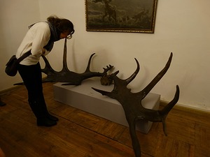 07.jpg