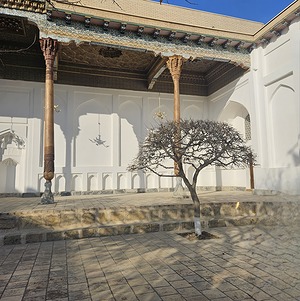 110.jpg