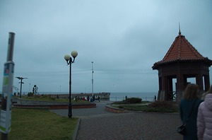 97.jpg