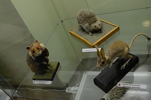 105.jpg