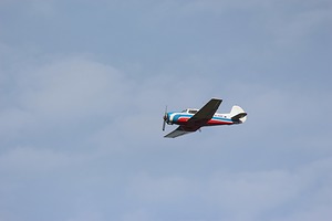 31.jpg