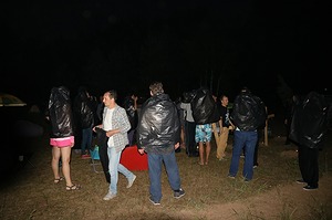 196.jpg