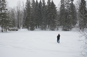040.jpg