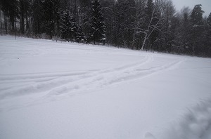 136.jpg
