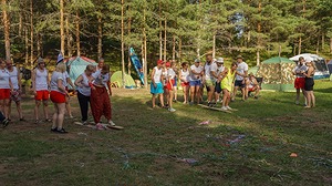 291.jpg