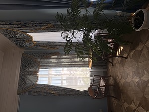 IMG_7311.jpeg