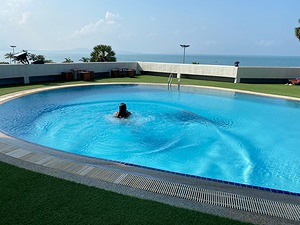 145.jpg
