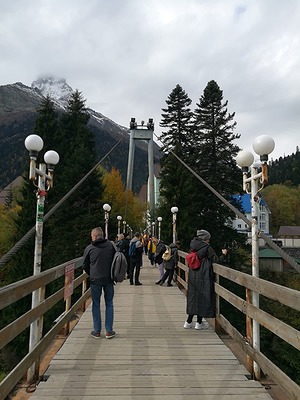 141.jpg
