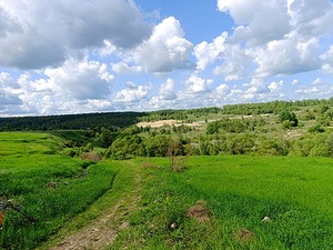 33.jpg