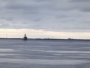 115.jpg