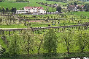 126.jpg