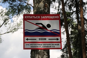 151.jpg