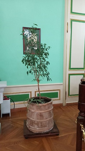 01.jpg